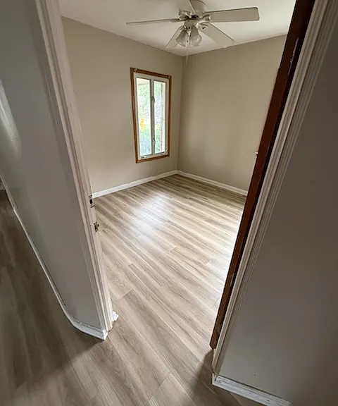 24728 Carlysle St — Photo 3