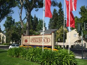 Amberwood