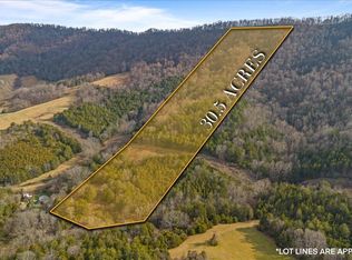 Little Sycamore Rd, Tazewell, TN 37879