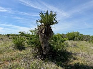 0 County Road 147, George West, TX 78022