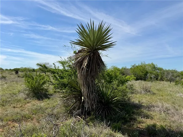 0 County Road 147, George West, TX 78022