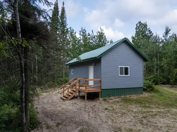 45649 Bowstring Dr #D1, Deer River, MN 56636
