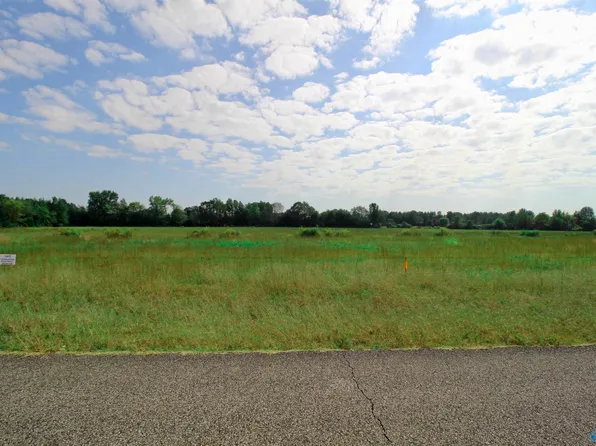 17170 Red Hill Rd, Athens, AL 35611