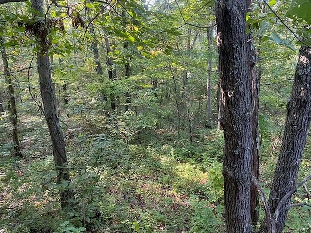 1st image of 2457 Branch Ln