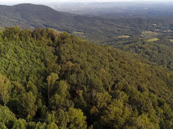 Tbd Willis Gap Rd, Ararat, VA 24053