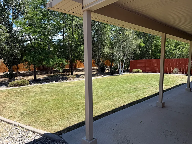 Back yard