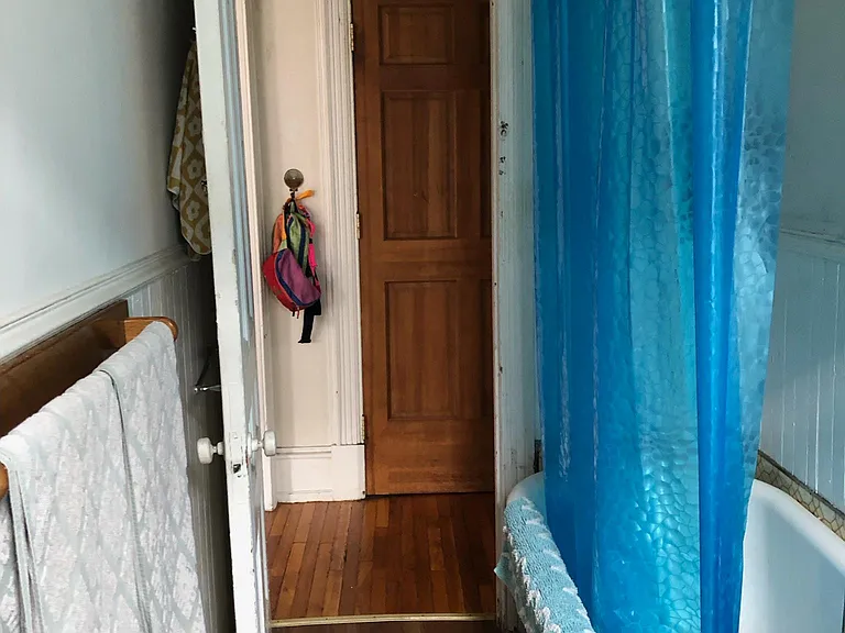Bathroom Shower (clawfoot tub)