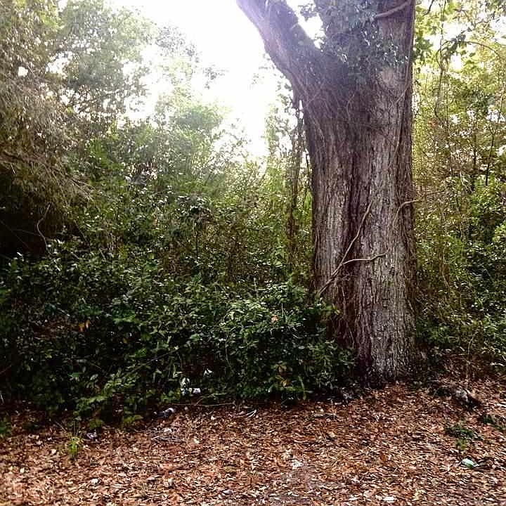 1st image of 0 Jamaica St