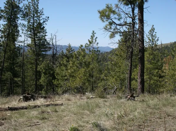 Xx Coyote Canyon Rd, Fruitland, WA 99129