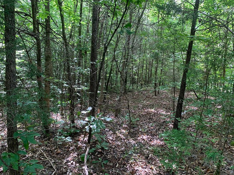 1st image of Cave Hollow Ln Lot 3