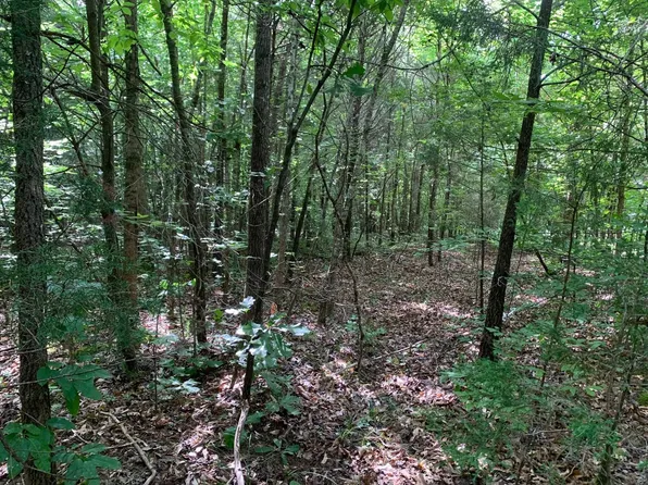 Cave Hollow Ln Lot 3, Savannah, TN 38372