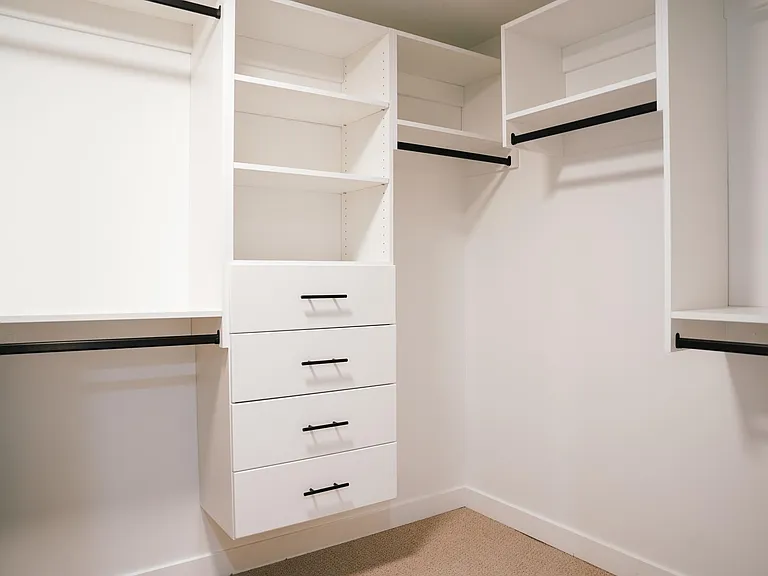 Large walk-in closet with plenty of storage