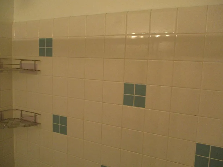 Shower / Tub Area