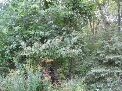 Snake Island Rd, Sturgeon Bay, WI, 54235