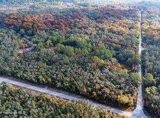 0 Rose Bloom Ave LOT 5, Webster, FL 33597
