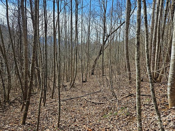 2nd image of 0 Woodfin Rd