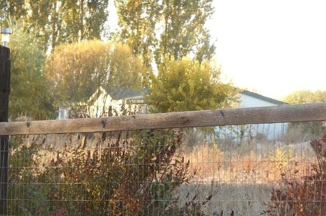 2nd image of 5602 Hicks Rd