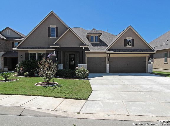 3rd image of 18243 Wild Onion
