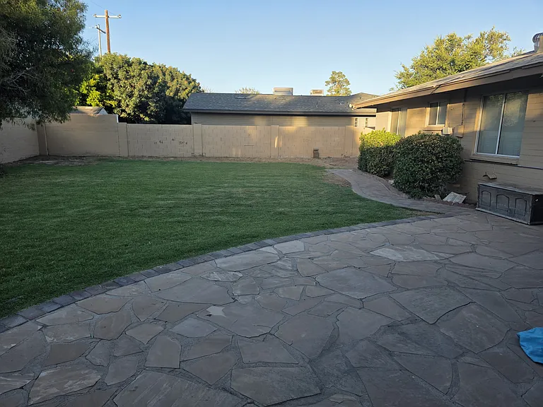 Backyard - East side
