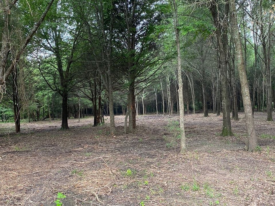 1st image of LOT 7 County Road 114