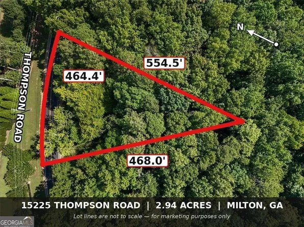 15225 Thompson Rd, Milton, GA 30004