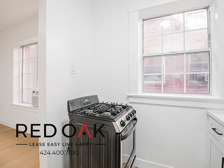 1110 S Lake St #103 — Photo 4