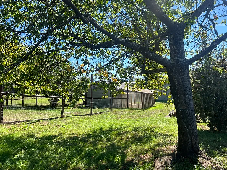 1809 Glendale Dr — Photo 6