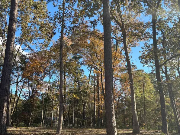 282 Pineneedle Circle, Johnsonville, SC 29555