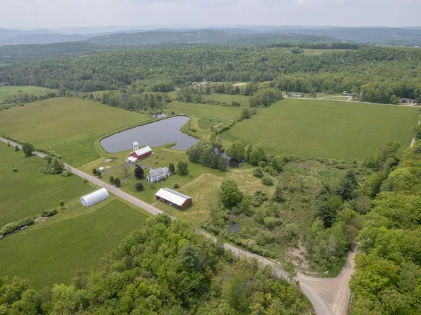 762 Ross Hill Rd, Barton, NY 13734