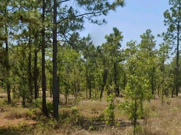 14-15 Sixteen #17, Hawthorne, FL 32640