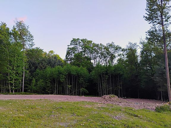 5th image of 0 Camp Coffman Rd