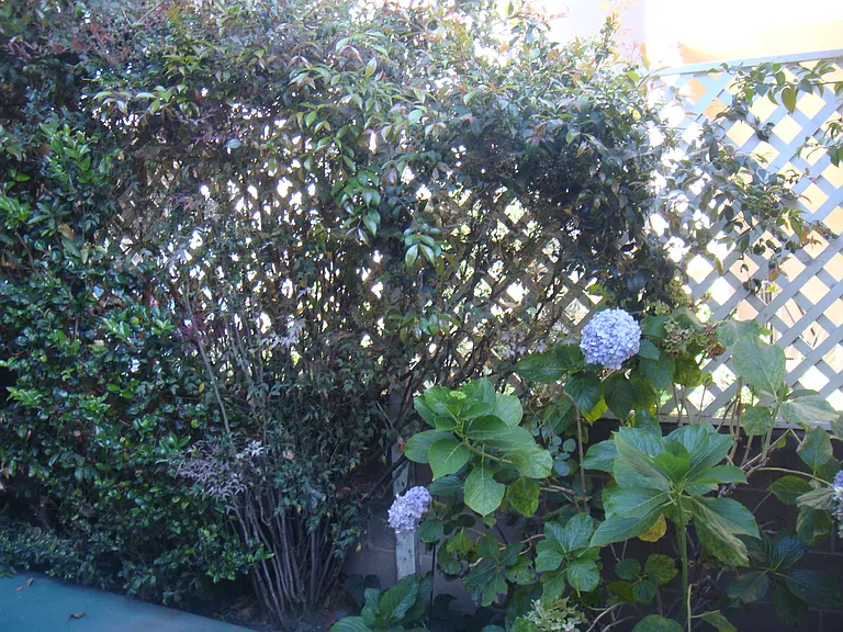 1444 Barry Ave #2A — Photo 2