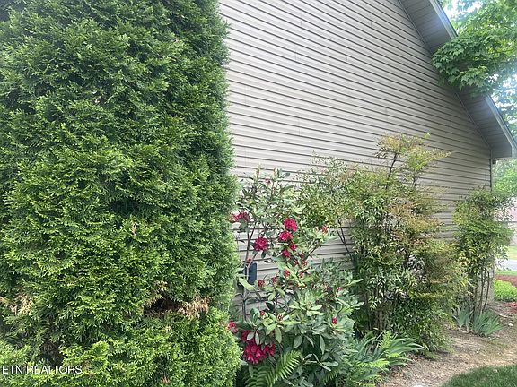 4th image of 25 Brooks Ln