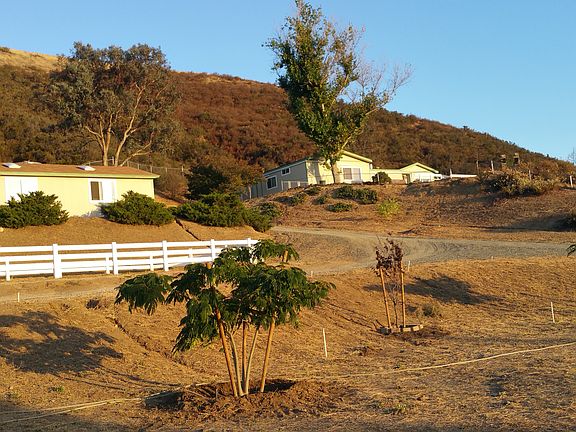 View from the east gate