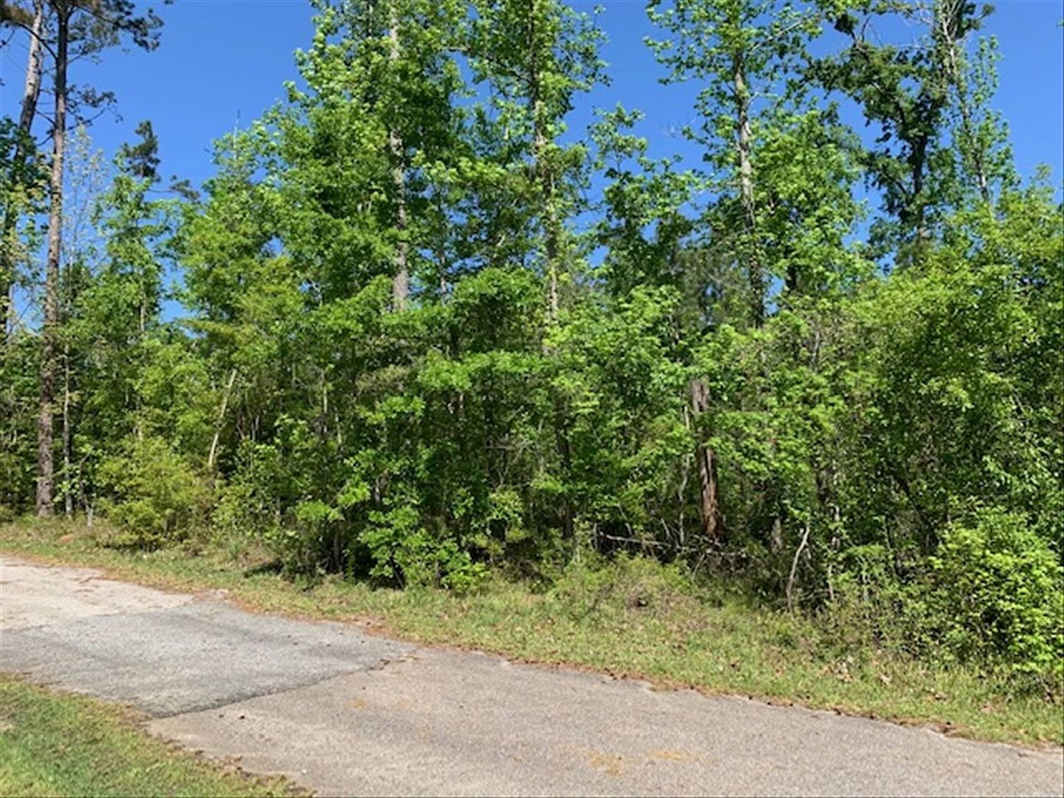 1316 Carrol St, Chattahoochee, FL 32324 Zillow