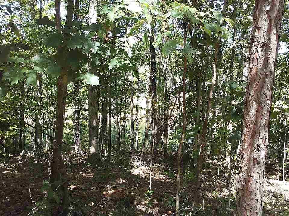 2nd image of Panorama Dr