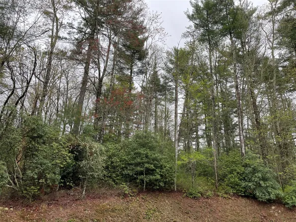 Lot G- Bailey Lane, Sapphire, NC 28774