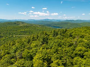 1 S Ike Hayes Rd, Brant Lake, NY 12815