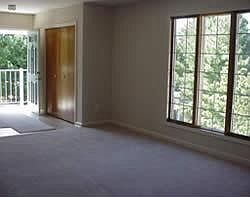 large windows in units - lots of light and nature to view