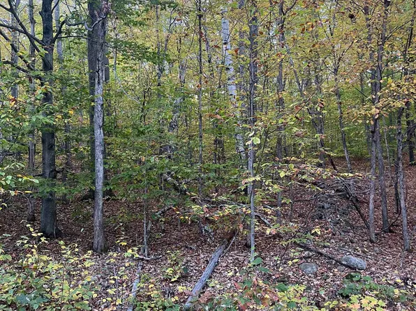 E-15 David Thompson Drive, Campton, NH 03223