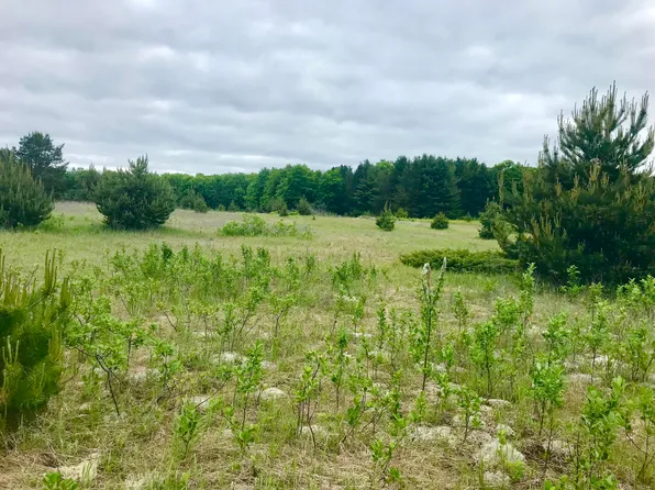 14823 E South Caribou Lake Rd, De Tour Village, MI 49725