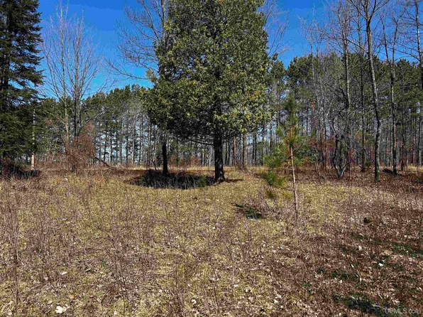 Burma Rd Parcel A, Bessemer, MI 49911