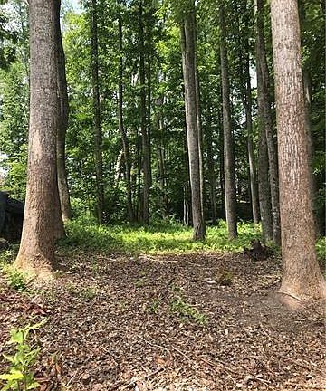 5th image of 172 N Ridgeview Hill Dr #52