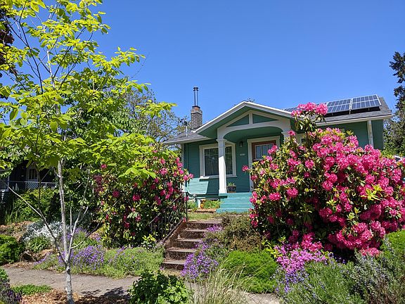 Front yard in the spring