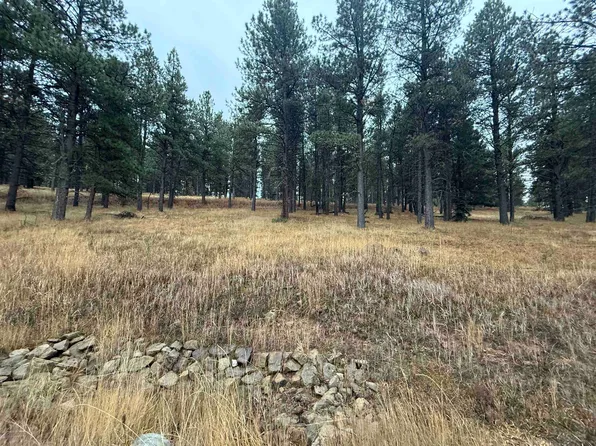 LOT 1305 Sierra Blanca Dr, Angel Fire, NM 87710