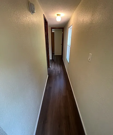 113 Deer Track Ln — Photo 9