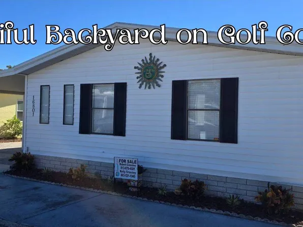 16801 Okoboji Ln, Odessa, FL 33556