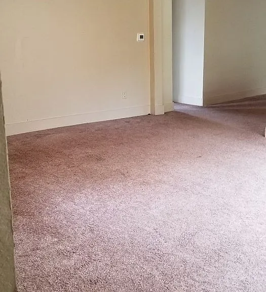 218 Whedbee St — Photo 6