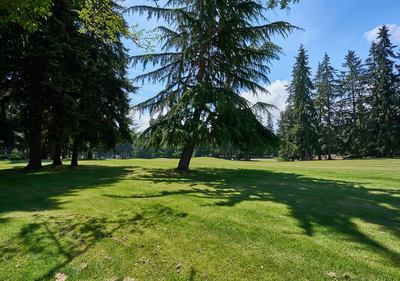 Recently Renovated 4BR/3BA Home Backing the Golf Course Federal Way — Photo 4