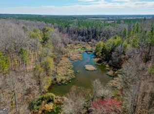 78 Tobie Veal Rd, Wrightsville, GA 31096